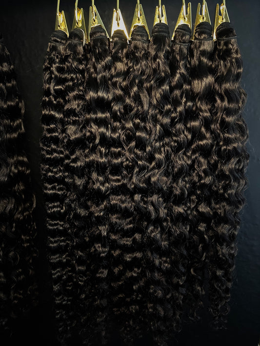 Burmese Curly 3 bundle deal